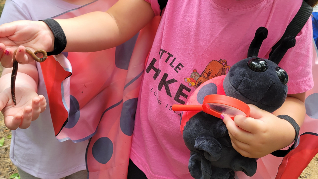 what to expect during the little hikers long island program