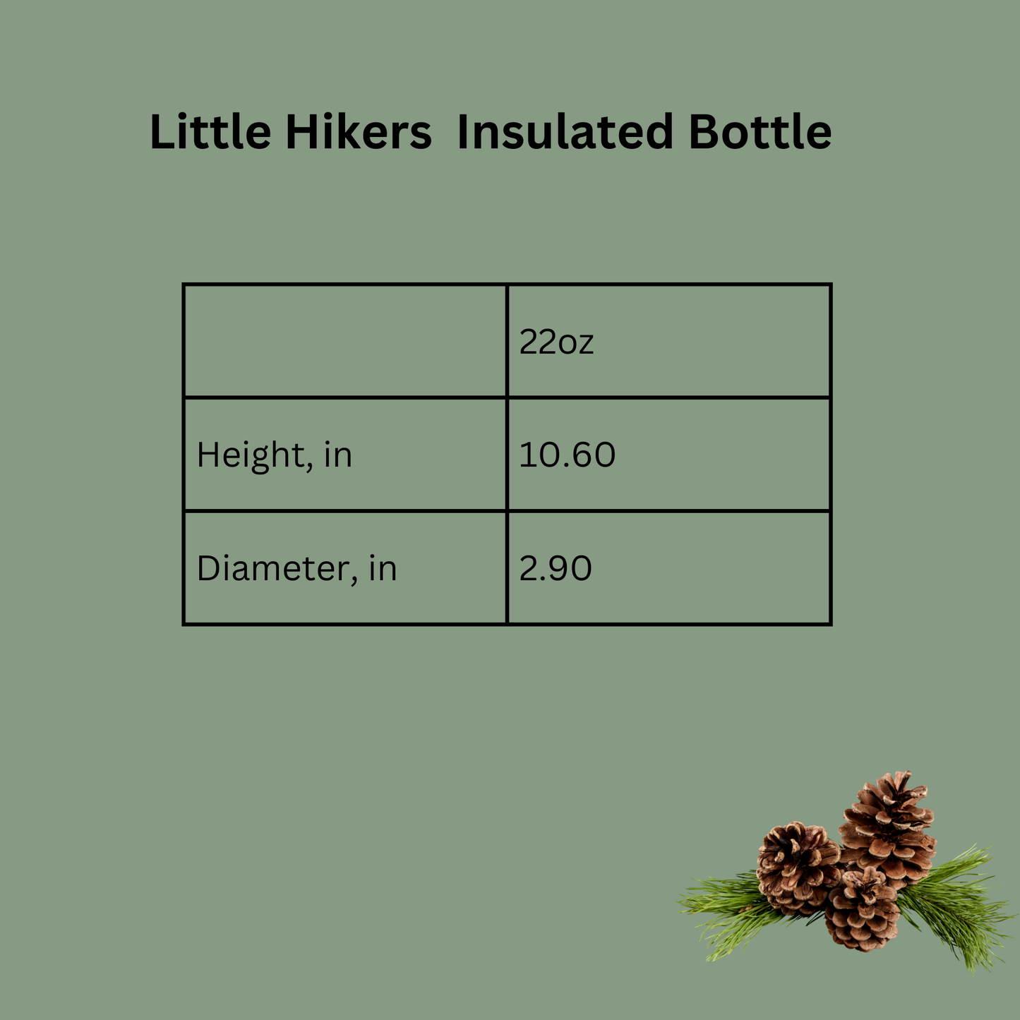 Little Hikers Insulated Bottle