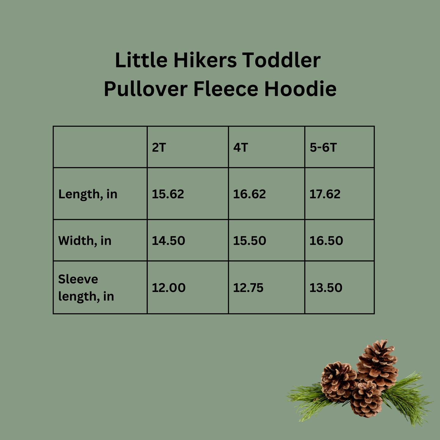 Little Hikers Toddler Pullover Fleece Hoodie