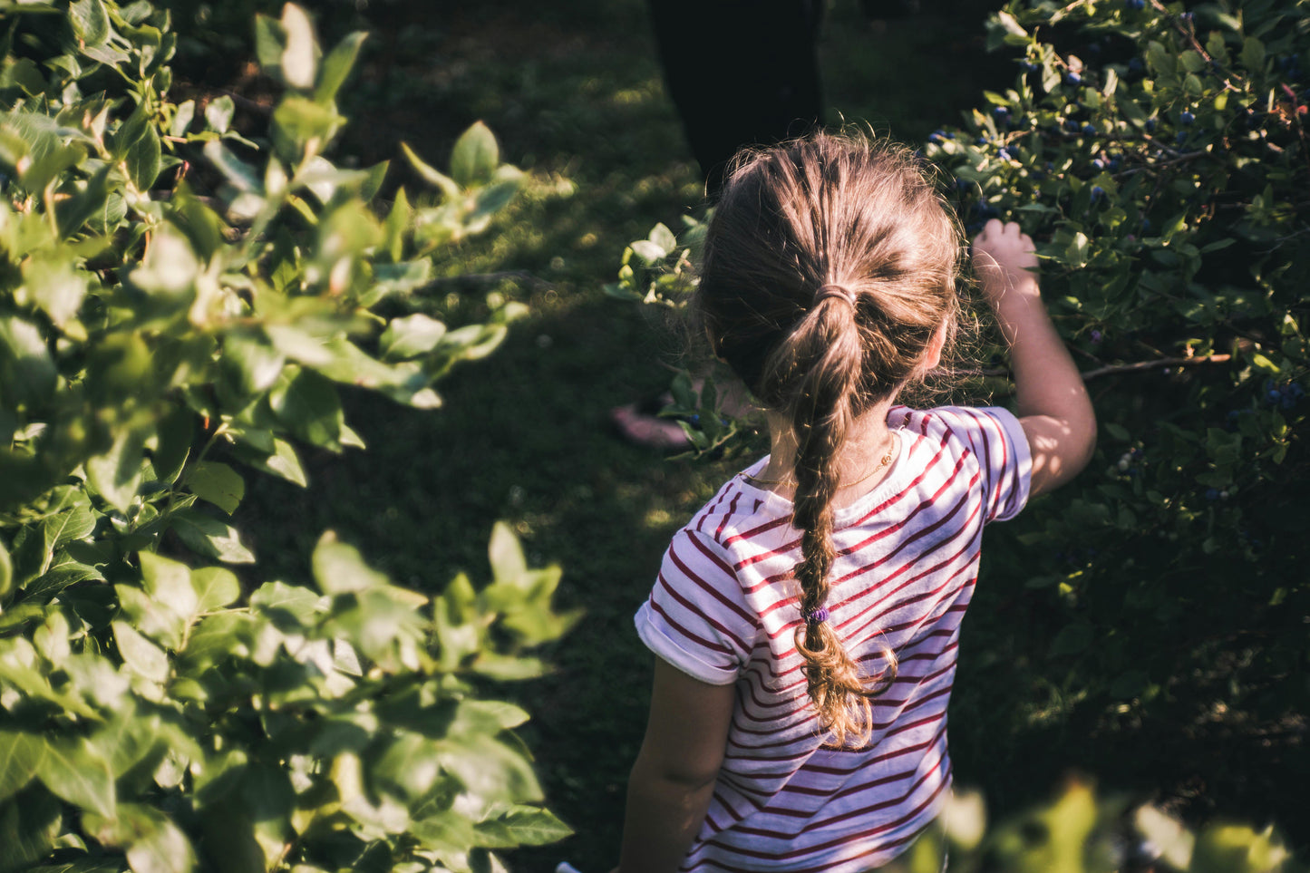 outdoor program for kids