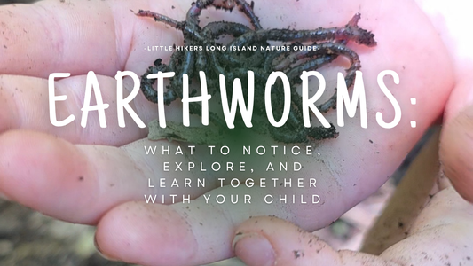 Earthworms: What to Notice, Explore, and Learn Together With Your Child