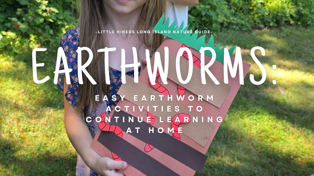 Easy Earthworm Activities to Continue Learning at Home