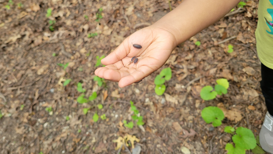 Little Hikers Long Island – Frequently Asked Questions