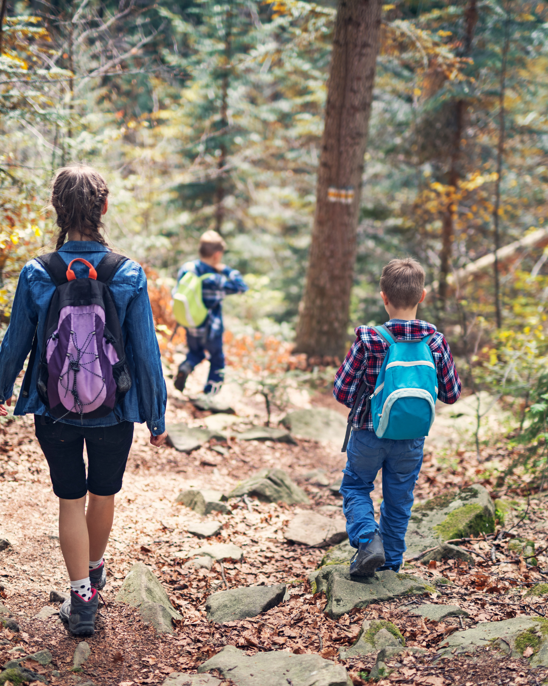How to Check Your Child for Ticks After Playing Outdoors
