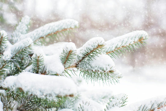 Little Hikers Long Island Weather Safety Policy
