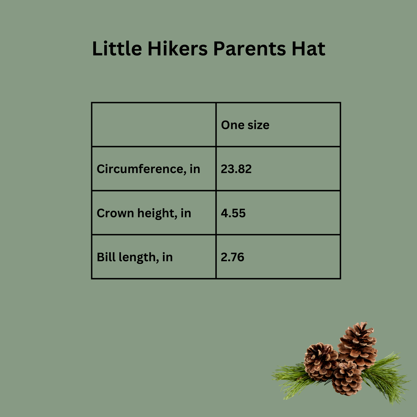 Little Hikers Parents Hat