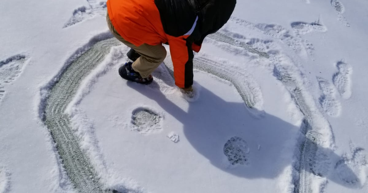 Winter Program- West Hills County Park