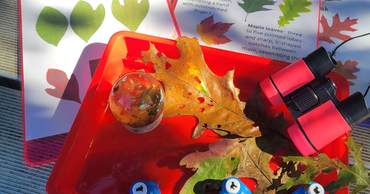 Scout Nature Walks & Outdoor Badge Program