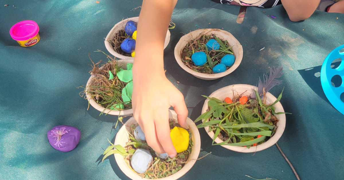 Scout Nature Walks & Outdoor Badge Program