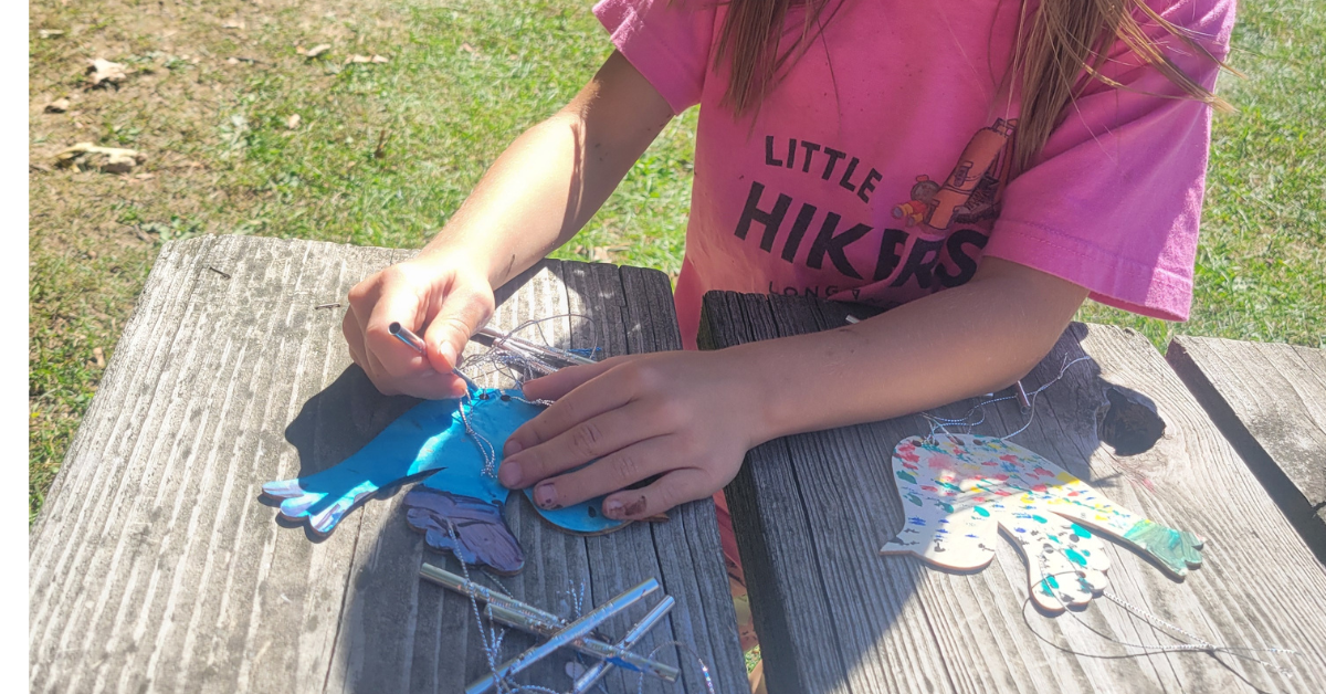 Scout Nature Walks & Outdoor Badge Program