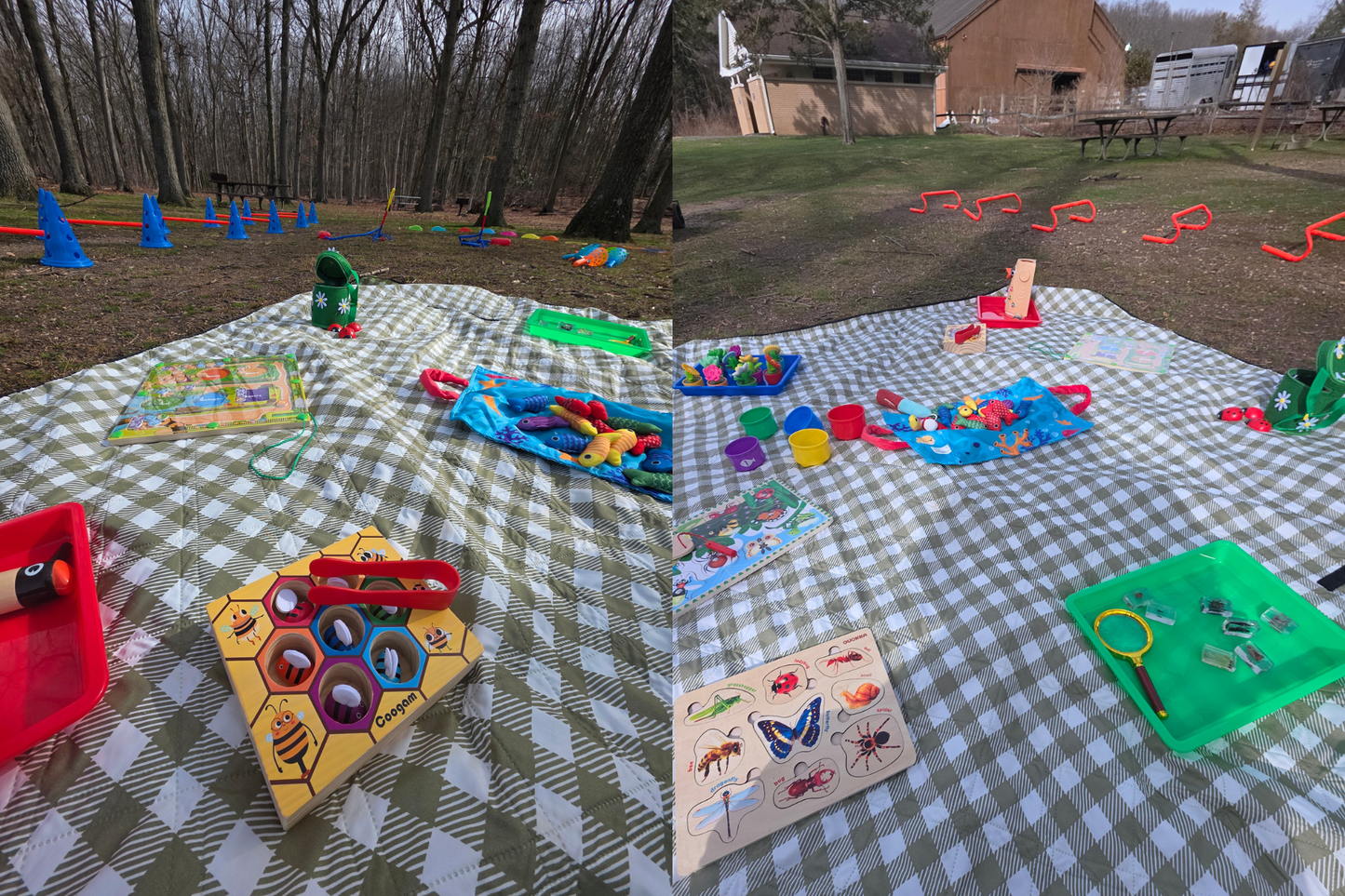 Pony Ride on the Trail & Horse Experience