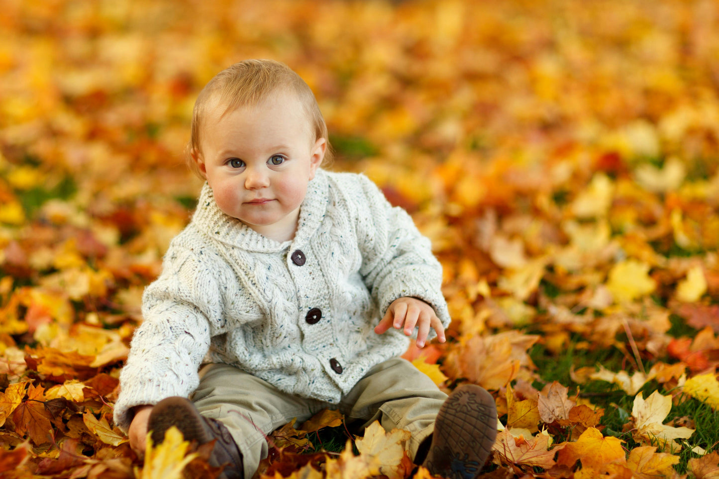 outdoor program for kids long island fall i afternoon