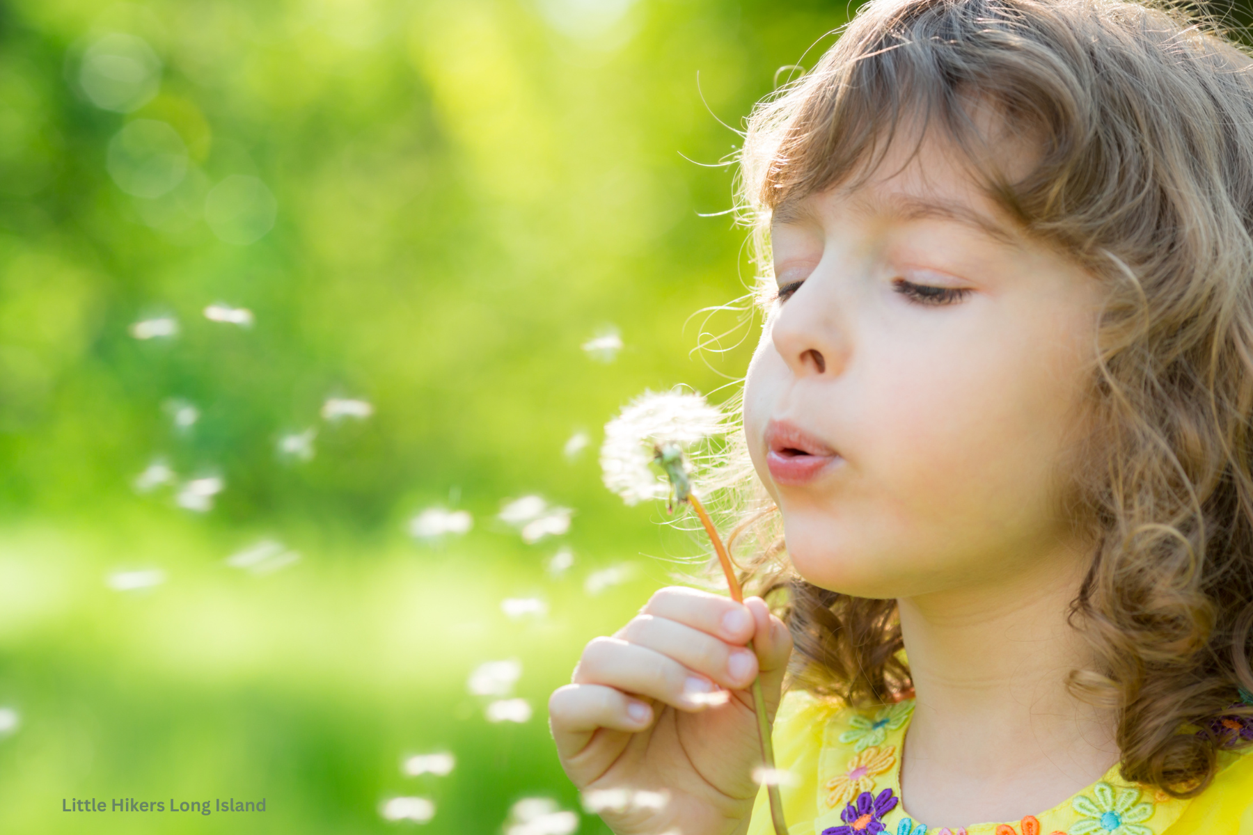 MAY Outdoor Nature Program – Little Hikers Long Island