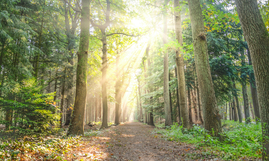 little_hikers_long_island_july_nature_program