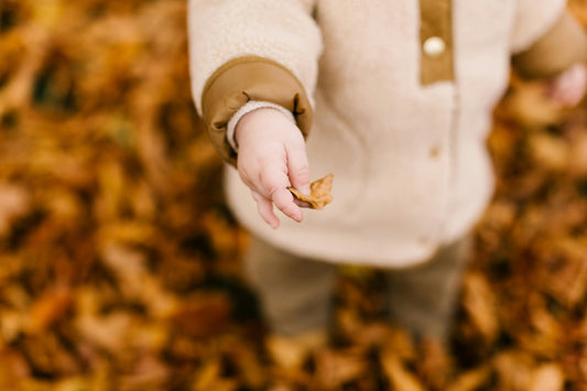 little hikers long island nature program  outdoor program for children