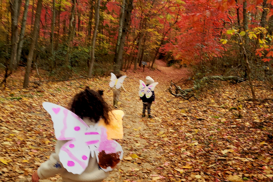 Fall II: 7-Week Little Explorers (Ages 2–6)