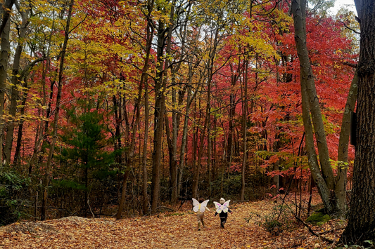 Fall Season (September–December)