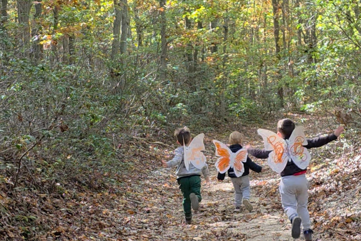 little hikers long island outdoor nature program
