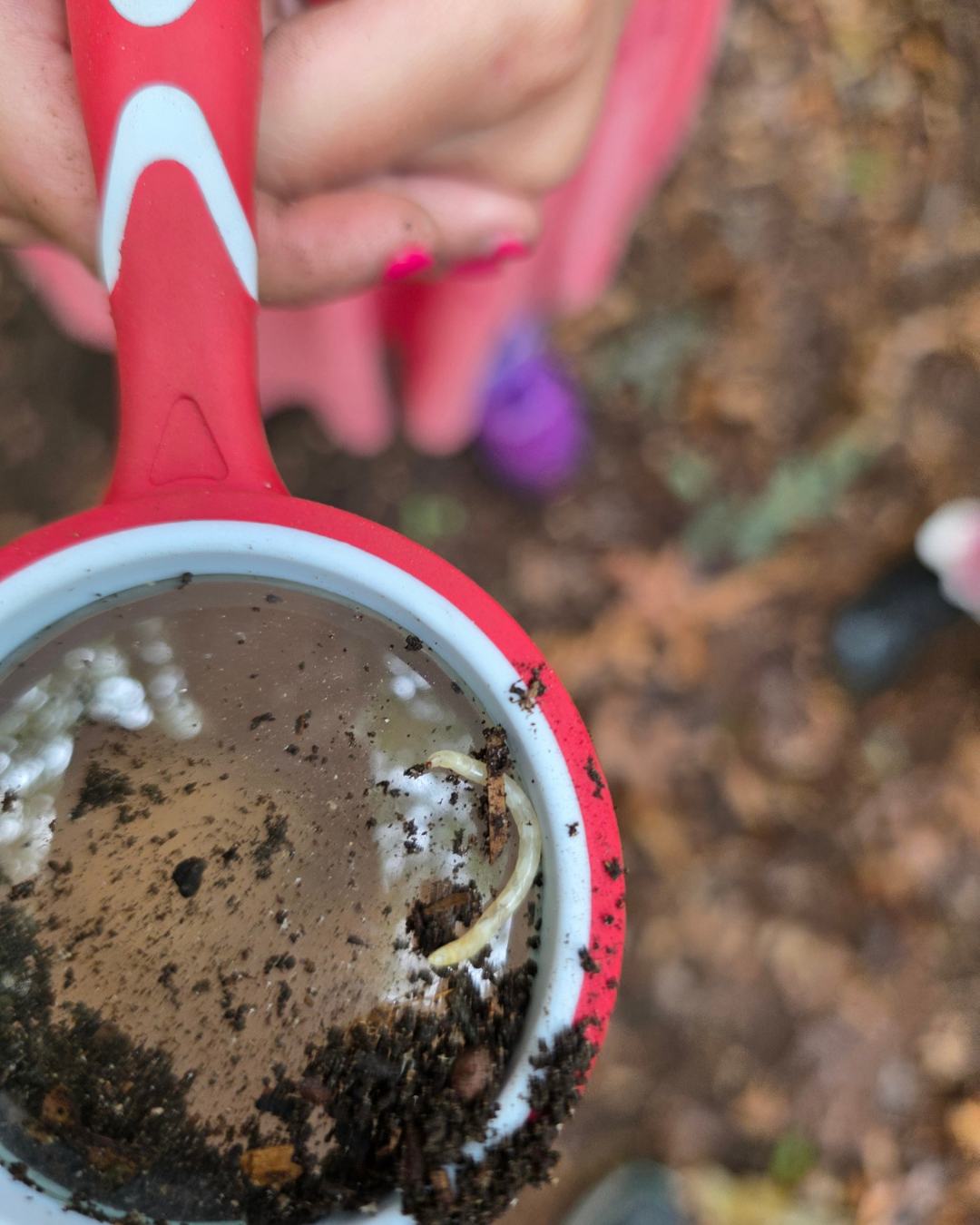 Junior Naturalists (Ages 6–10)  6-Week Program