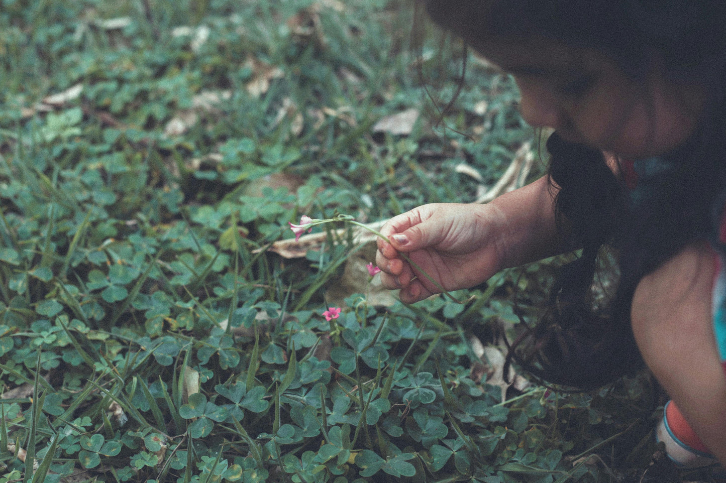 June & August Bundle  – 8 Week Nature Program