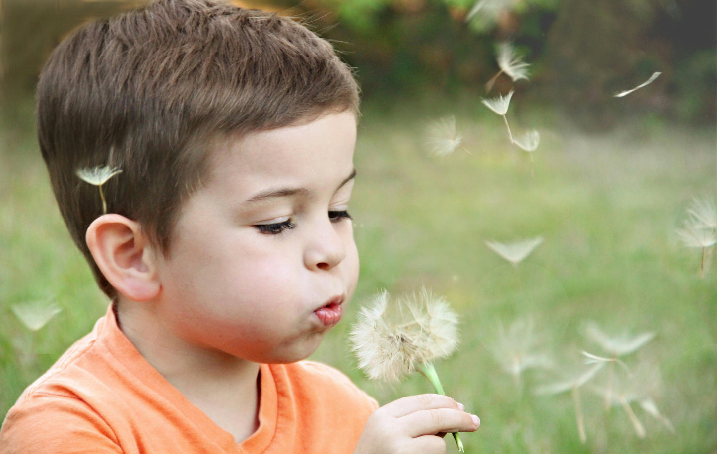 Spring Bundle (April + May) – 8 Week Nature Program