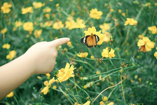 July & Aug Bundle  – 8 Week Nature Program