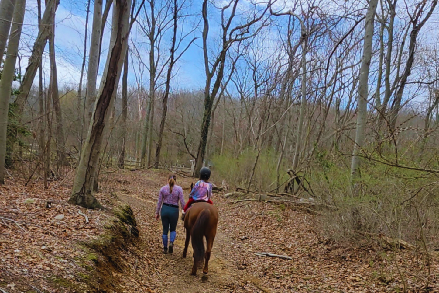 Pony Ride on the Trail & Horse Experience*